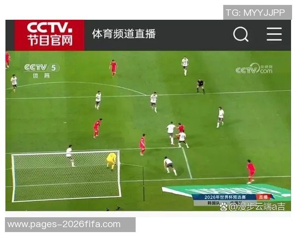 激情燃烧的绿茵场国足球迷的呐喊与梦想标语集锦